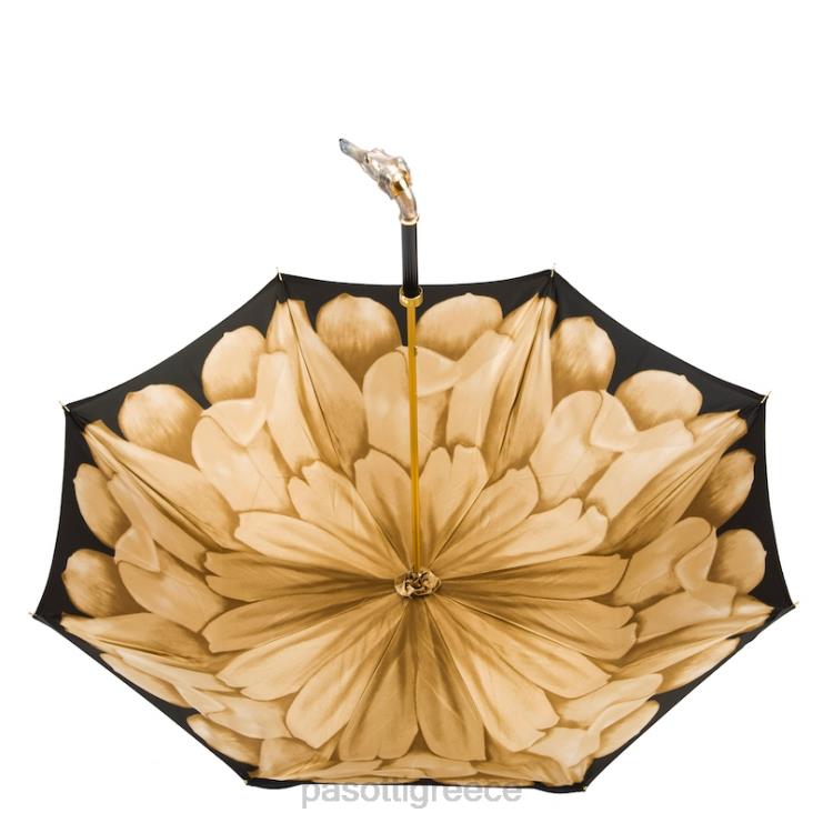 ομπρέλα | PASOTTI 189 21065-51 k63 - ομπρέλα λαγωνικού 2N6B8511 γυναίκες